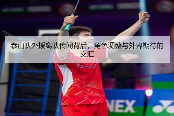 泰山队外援离队传闻背后，角色调整与外界期待的交汇